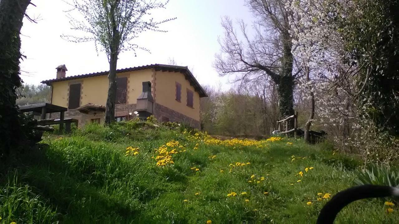 Il Gelso Rosso Apartment Comunanza Екстериор снимка