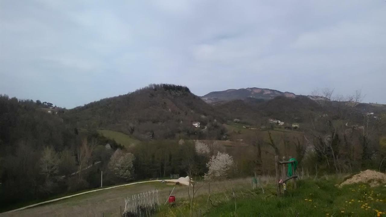 Il Gelso Rosso Apartment Comunanza Екстериор снимка