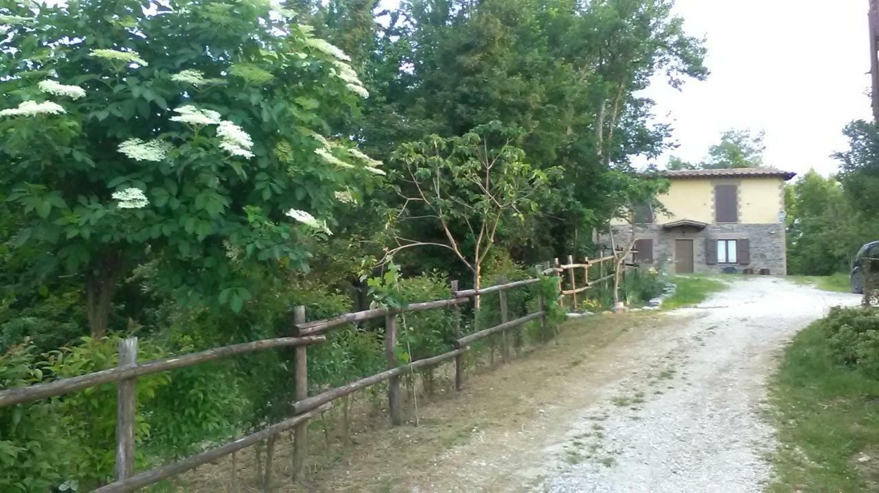 Il Gelso Rosso Apartment Comunanza Екстериор снимка